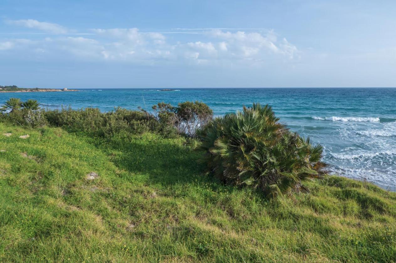 Villa Fratelli Arenella  Εξωτερικό φωτογραφία